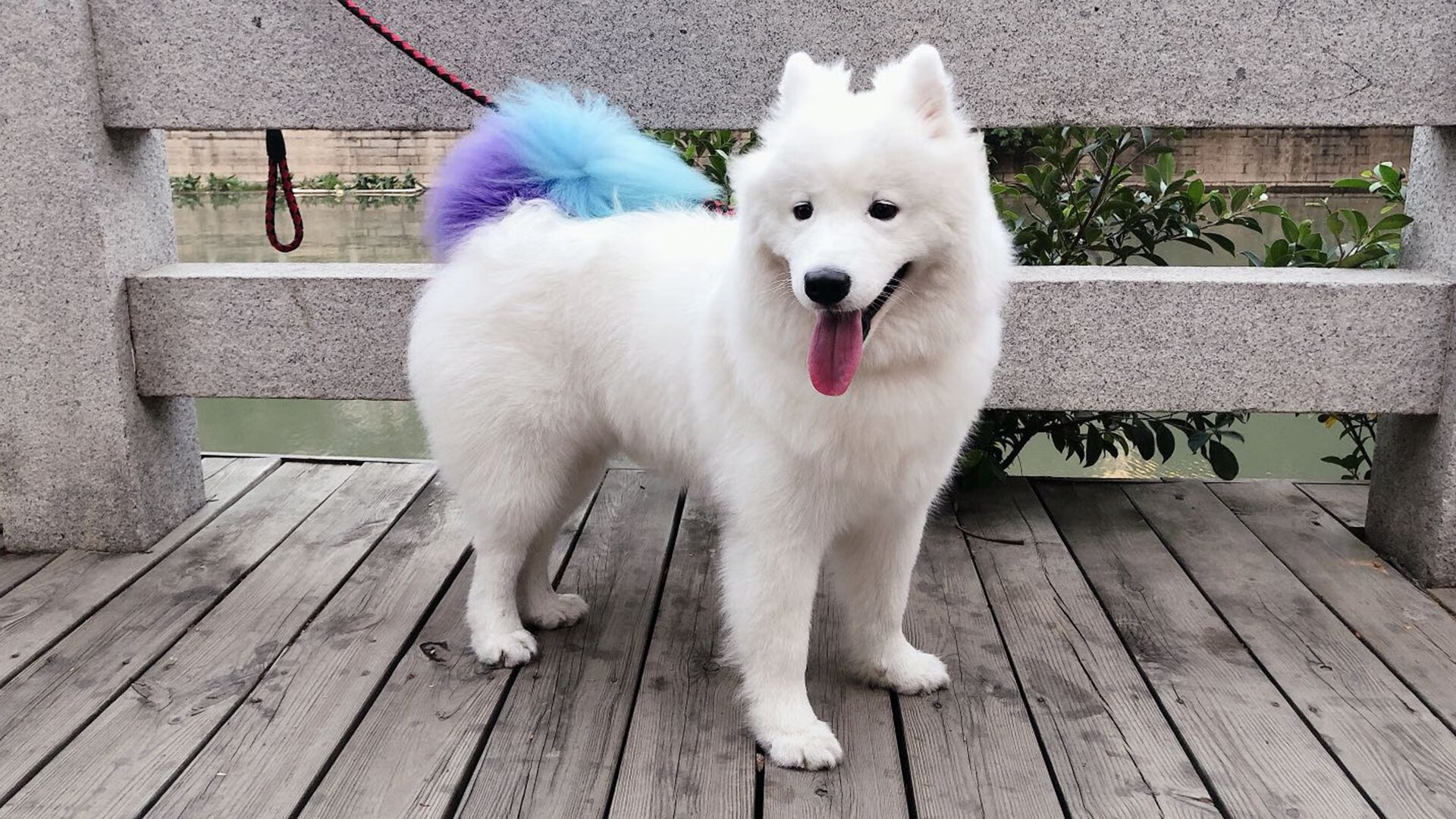 “nba冷知识：你绝对没听说过的趣闻趣事”，趣味nba