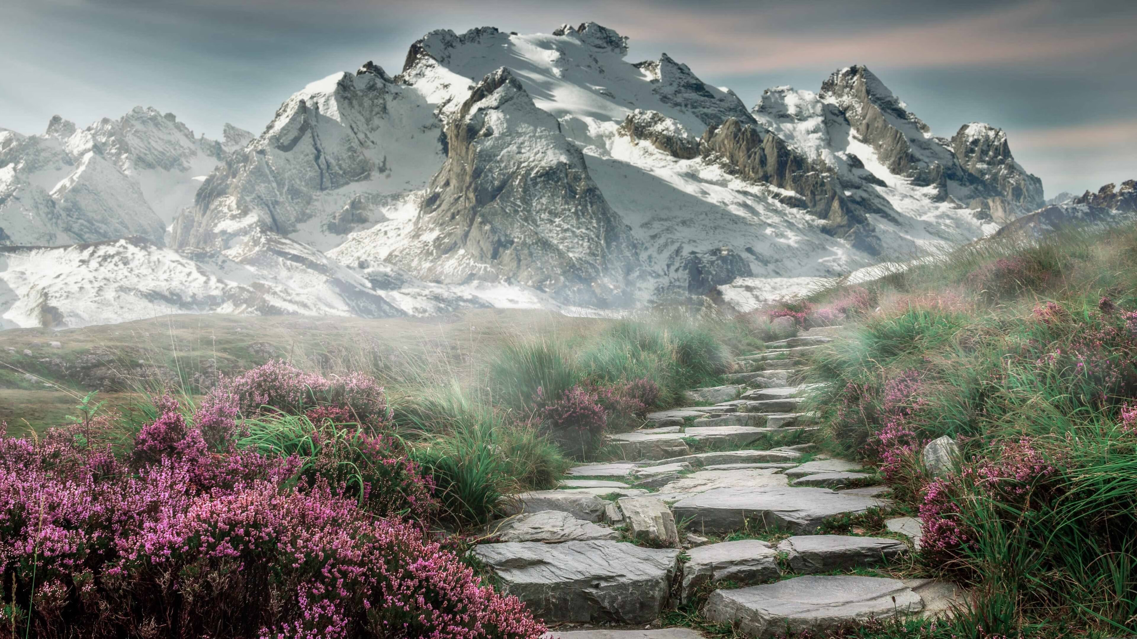 【比赛节奏梳理】新规则使得攻守调整更灵活高效，比赛规则视频