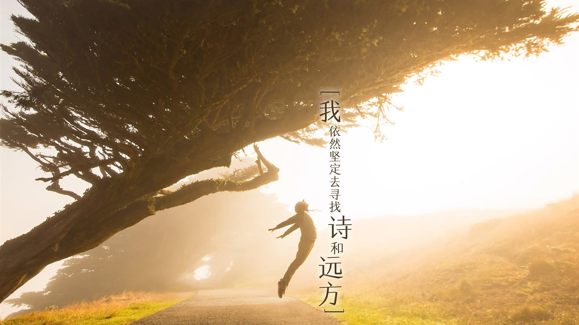 _历史名城巡展：沿着城市古迹进行系列比赛_，城市历史沿革什么意思