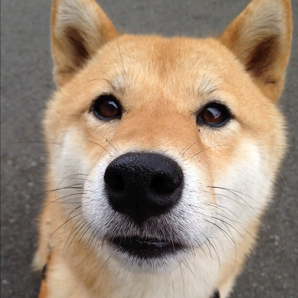 开云中国-“英超最新战报：球队奋力拼搏争夺每一分”，英超最新一轮结果