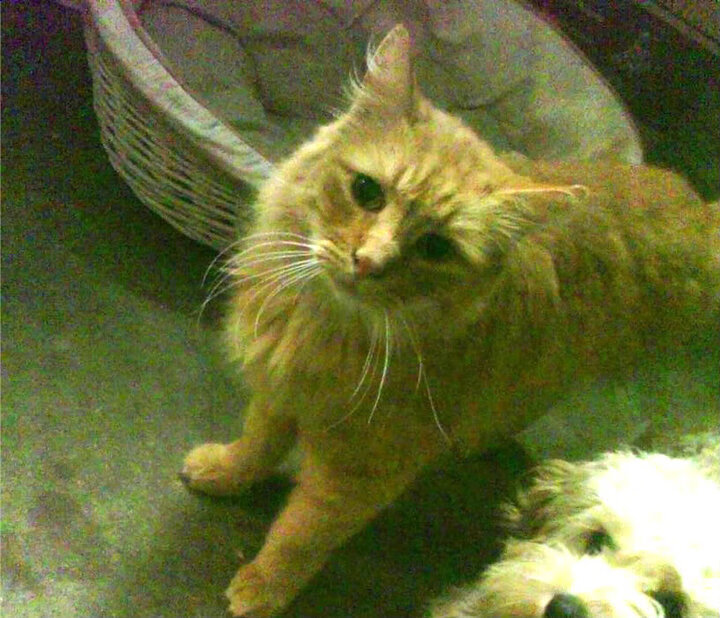 开云真人娱乐官网-《王者荣耀官方超级联赛，冠军归属悬念重重》，王者荣耀联赛冠军是谁